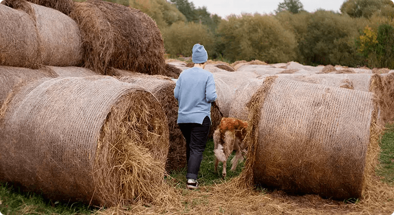 Bringing Food Production Back To Cities