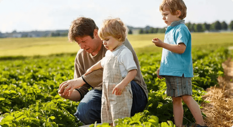 The Future of Farming, Smart Irrigation Solutions