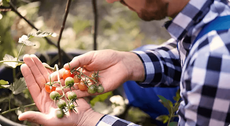 Agronomy and relation to Other Sciences